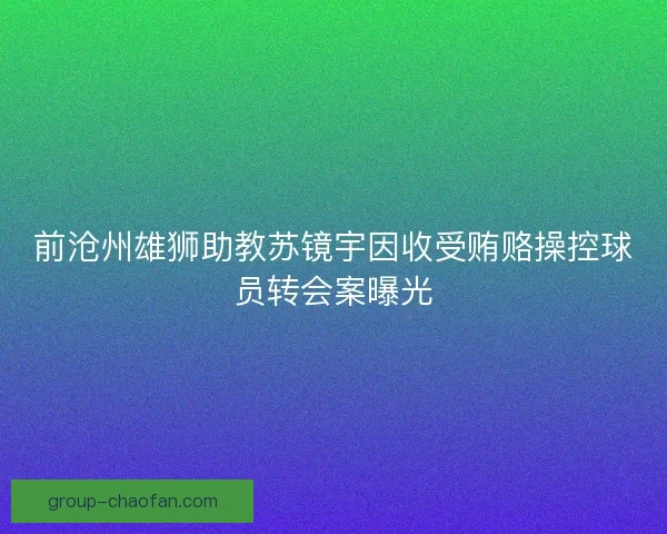 前沧州雄狮助教苏镜宇因收受贿赂操控球员转会案曝光 前沧州雄狮助教苏镜宇因收受贿赂操控球员转会案曝光